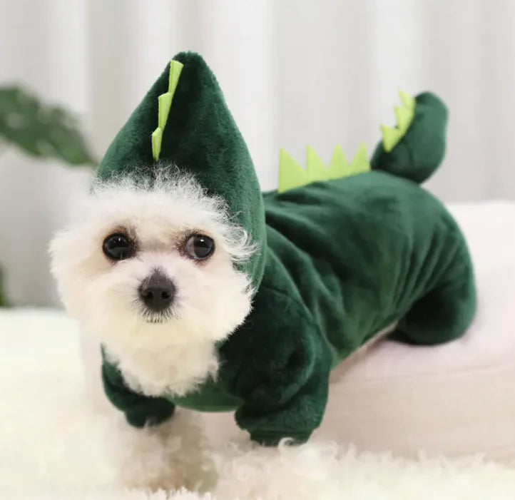 Dino pet coustume